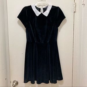Black Velvet White Collar Dress